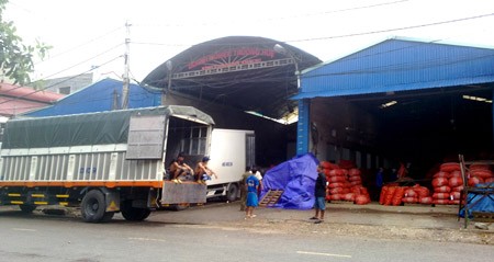 Xe tải đến nhập hàng ở các cơ sở thu gom, buôn bán hàng nông sản Trung Quốc.