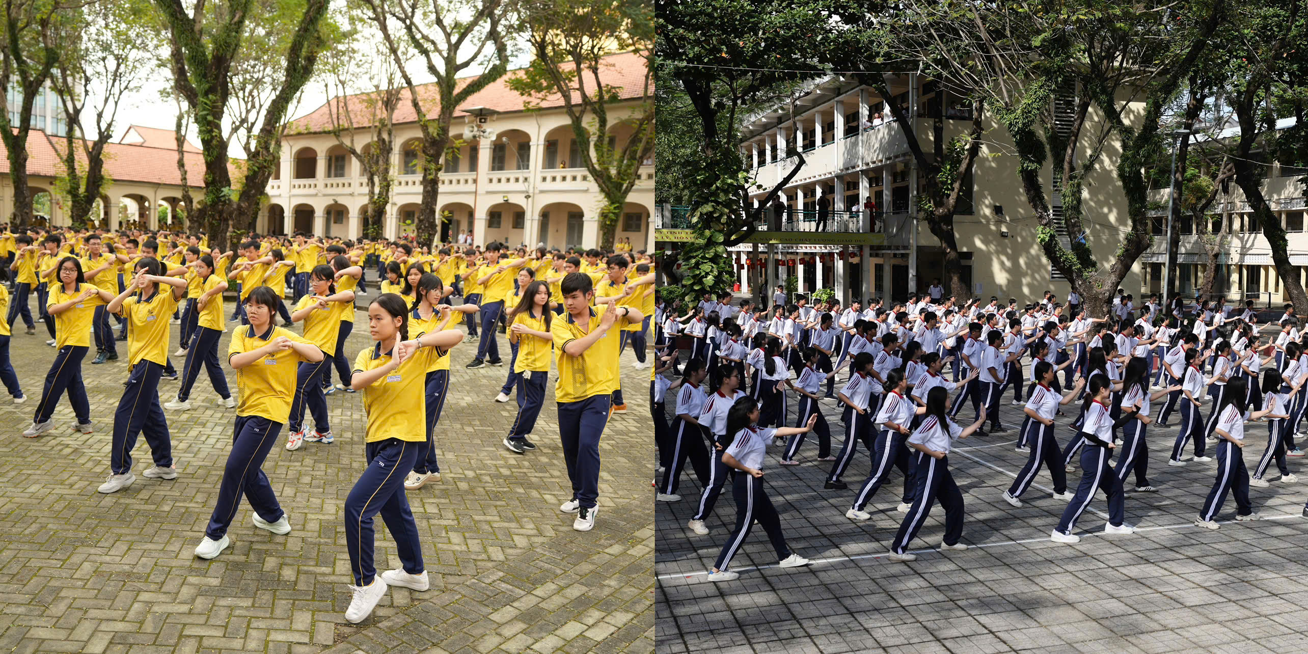 D&agrave;n sao Việt tiếp sức học sinh trước kỷ lục đồng diễn v&otilde; nhạc Vovinam