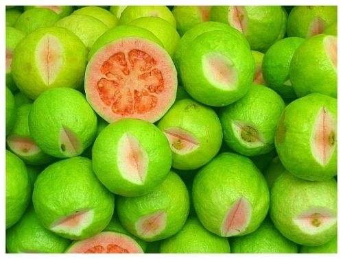 Ổi là loại trái cây giúp cải thiện thị lực được các bác sĩ trong sức khỏe gia đình khuyên dùng