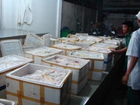 Nội tạng động vật thường được đóng bằng thùng xốp trước khi vận chuyển