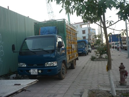 Vào thời điểm kiểm tra số lượng gà trên xe ô tô này không có giấy tờ chứng minh xuất xứ và qua kiểm dịch